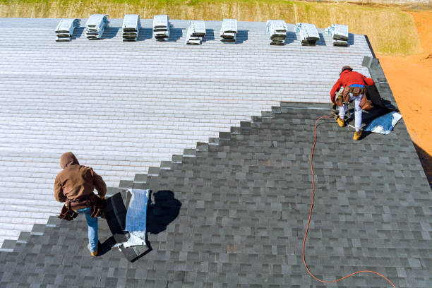Best Metal Roofing Installation  in Steele, AL