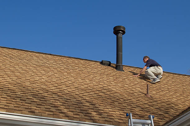 Best Roof Insulation Installation  in Steele, AL