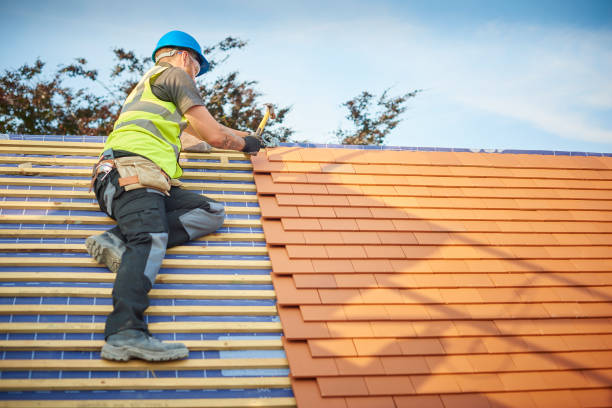 Best Solar Panel Roofing Installation  in Steele, AL