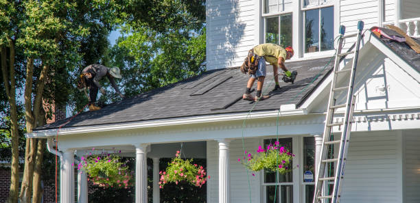 Best Storm Damage Roof Repair  in Steele, AL